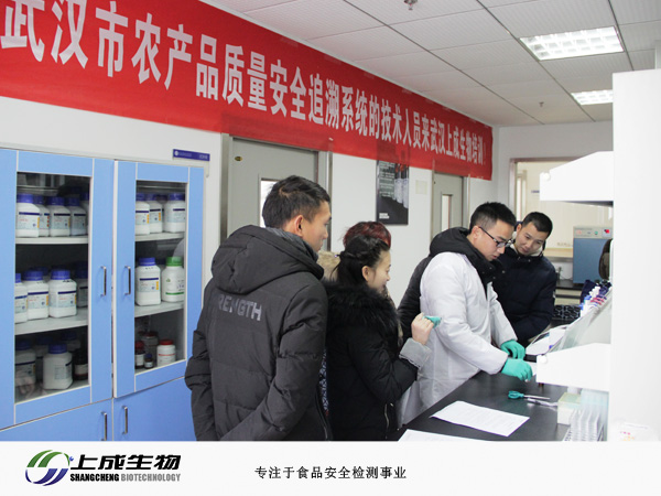 祝贺第一期武汉市农产品质量安全追溯系统技术人员培训班顺利开展